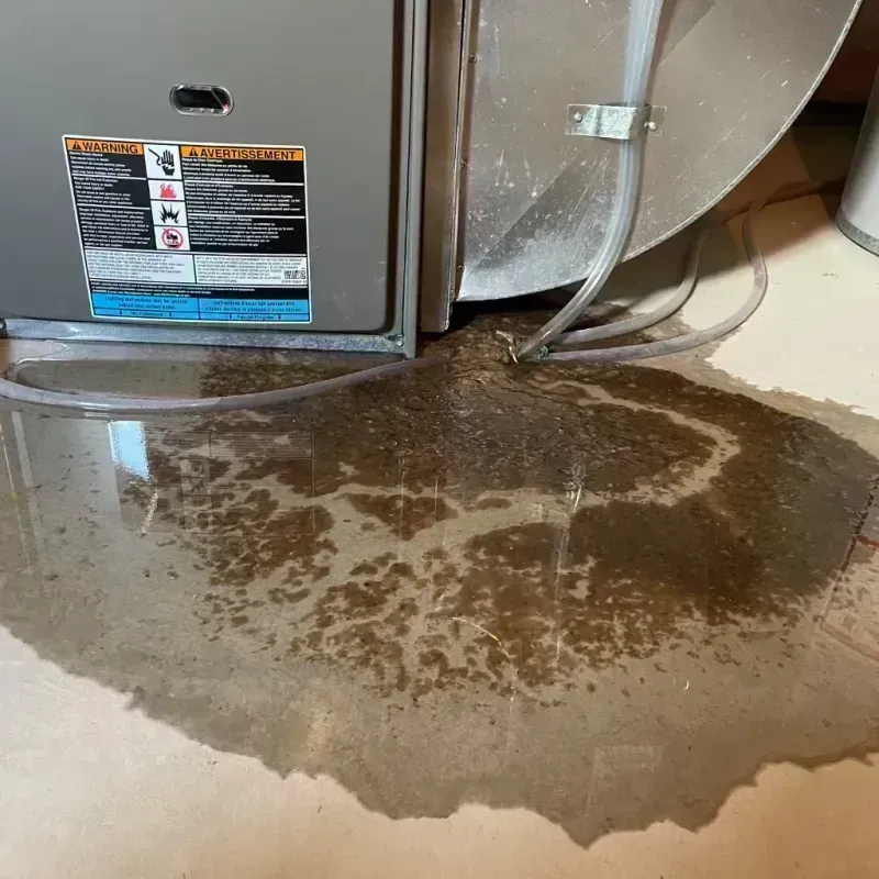 Appliance Leak Cleanup in Barrington Hills, IL